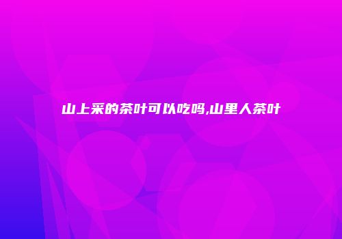 山上采的茶叶可以吃吗,山里人茶叶