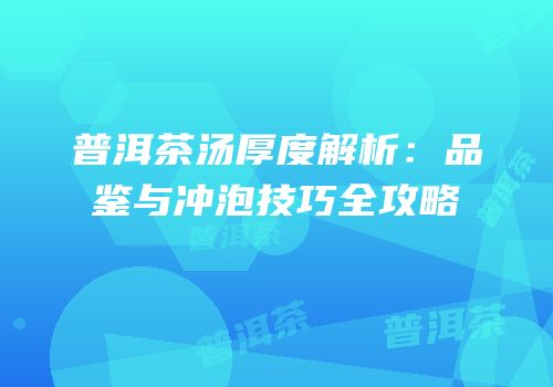 普洱茶汤厚度解析：品鉴与冲泡技巧全攻略
