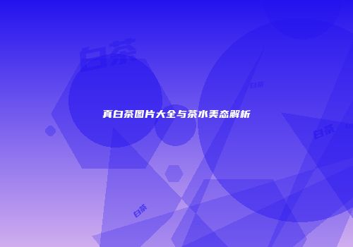 真白茶图片大全与茶水美态解析