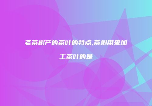老茶树产的茶叶的特点,茶树用来加工茶叶的是