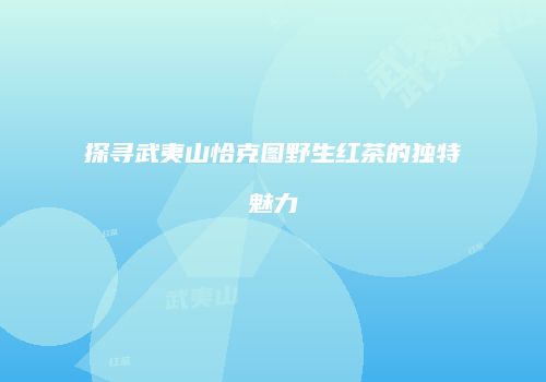 探寻武夷山恰克图野生红茶的独特魅力