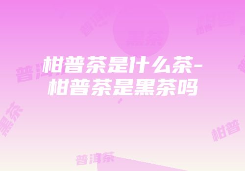 柑普茶是什么茶-柑普茶是黑茶吗