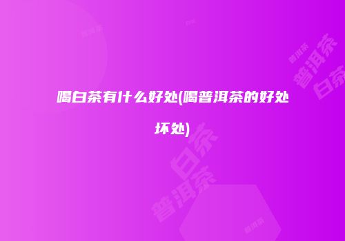 喝白茶有什么好处(喝普洱茶的好处坏处)