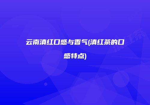 云南滇红口感与香气(滇红茶的口感特点)