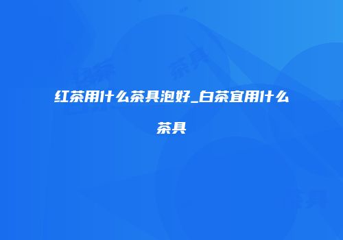 红茶用什么茶具泡好_白茶宜用什么茶具
