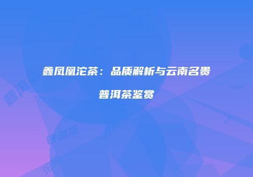 鑫凤凰沱茶：品质解析与云南名贵普洱茶鉴赏