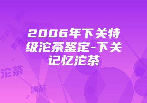 2006年下关特级沱茶鉴定-下关记忆沱茶
