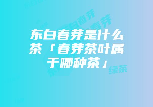 东白春芽是什么茶「春芽茶叶属于哪种茶」