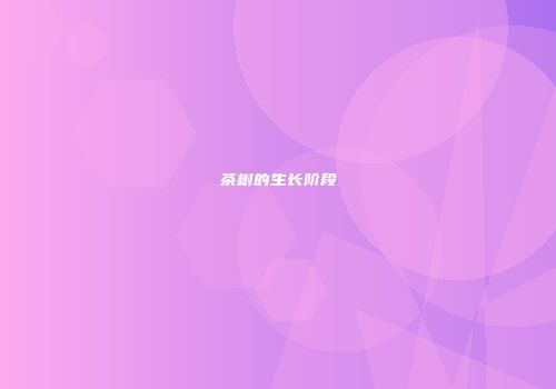 茶树的生长阶段