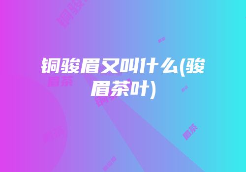 铜骏眉又叫什么(骏眉茶叶)