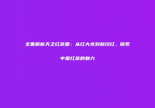 全面解析天之红茶园：从红大龙到利川红，探索中国红茶的魅力