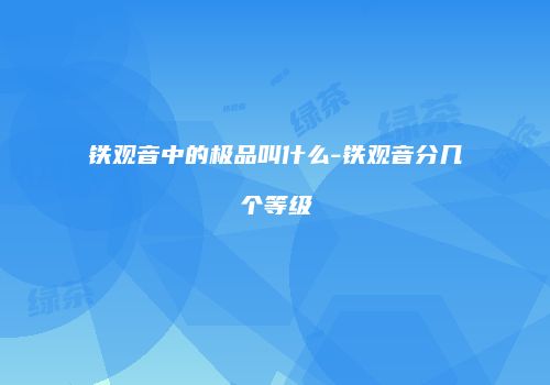 铁观音中的极品叫什么-铁观音分几个等级