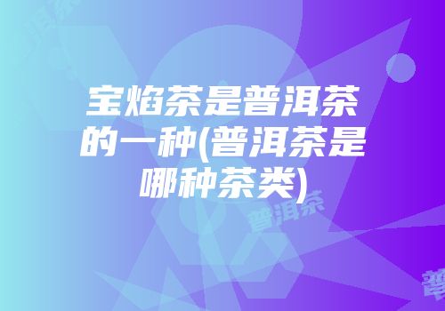 宝焰茶是普洱茶的一种(普洱茶是哪种茶类)