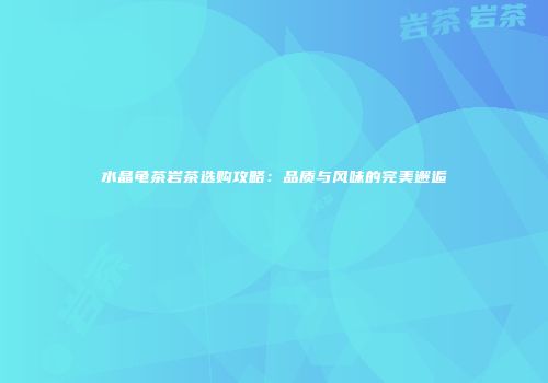 水晶龟茶岩茶选购攻略：品质与风味的完美邂逅