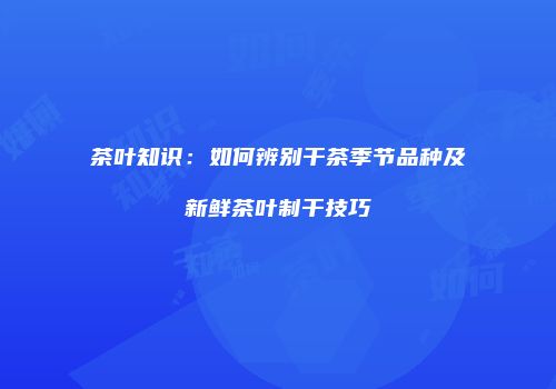 茶叶知识：如何辨别干茶季节品种及新鲜茶叶制干技巧