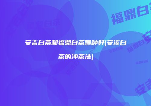 安吉白茶和福鼎白茶哪种好(安溪白茶的冲茶法)