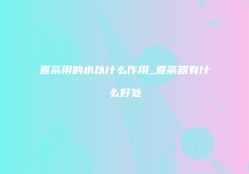 煮茶用的水以什么作用_煮茶器有什么好处
