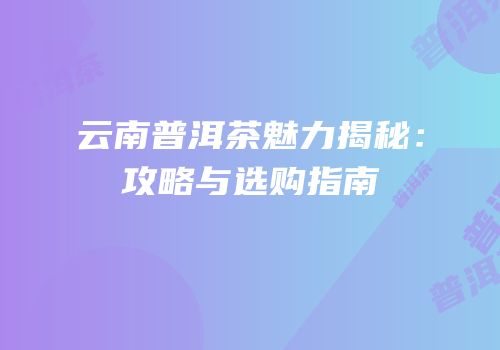 云南普洱茶魅力揭秘：攻略与选购指南