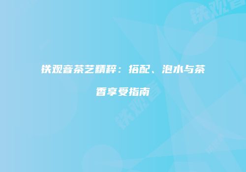 铁观音茶艺精粹：搭配、泡水与茶香享受指南