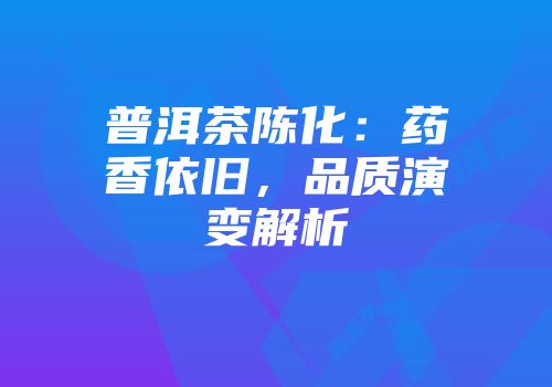 普洱茶陈化：药香依旧，品质演变解析