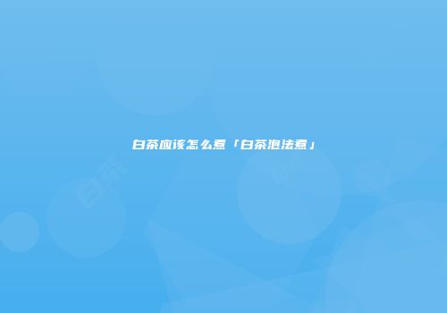 白茶应该怎么煮「白茶泡法煮」