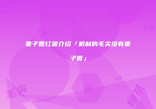 栗子香红薯介绍「机制的毛尖没有栗子香」