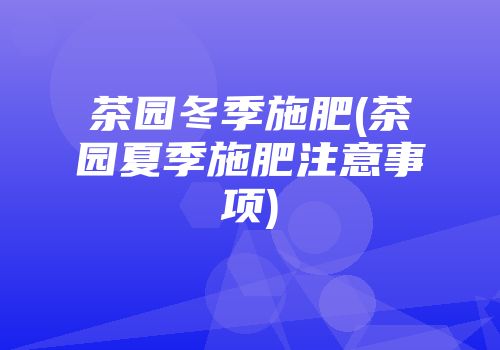 茶园冬季施肥(茶园夏季施肥注意事项)