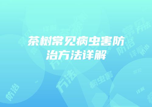 茶树常见病虫害防治方法详解