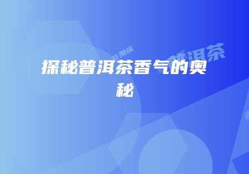 探秘普洱茶香气的奥秘