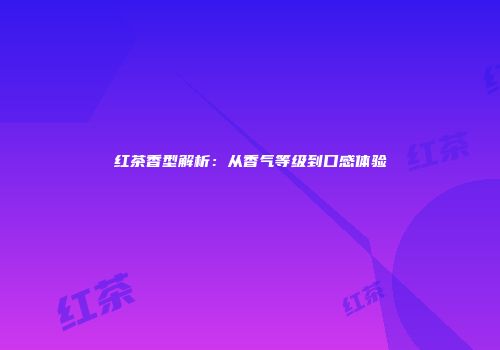 红茶香型解析：从香气等级到口感体验