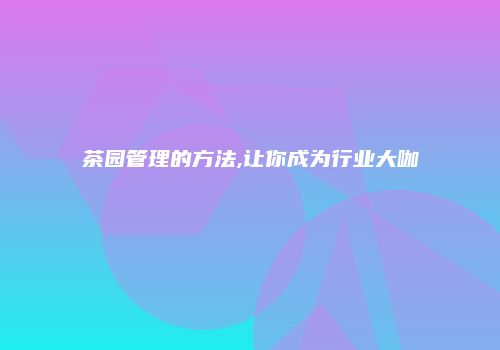 茶园管理的方法,让你成为行业大咖