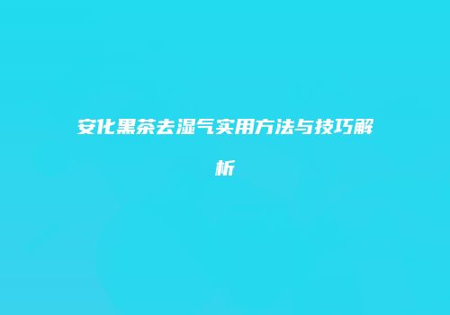 安化黑茶去湿气实用方法与技巧解析