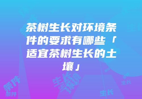 茶树生长对环境条件的要求有哪些「适宜茶树生长的土壤」