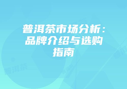 普洱茶市场分析：品牌介绍与选购指南