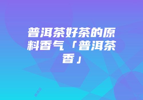 普洱茶好茶的原料香气「普洱茶香」