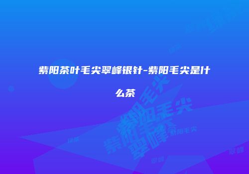 紫阳茶叶毛尖翠峰银针-紫阳毛尖是什么茶