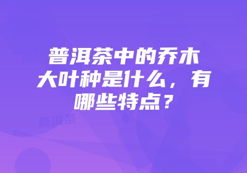 普洱茶中的乔木大叶种是什么，有哪些特点？