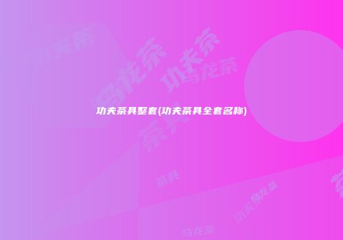 功夫茶具整套(功夫茶具全套名称)
