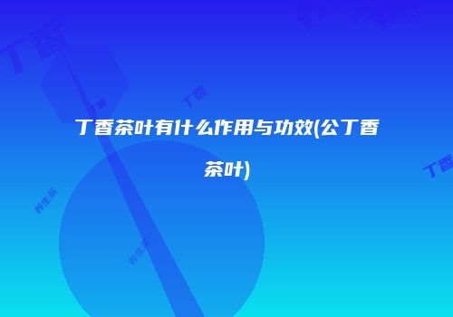 丁香茶叶有什么作用与功效(公丁香茶叶)