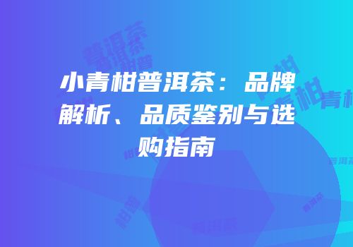 小青柑普洱茶：品牌解析、品质鉴别与选购指南