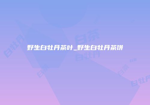 野生白牡丹茶叶_野生白牡丹茶饼