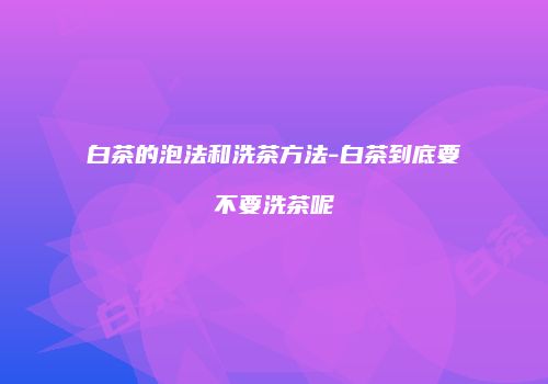 白茶的泡法和洗茶方法-白茶到底要不要洗茶呢