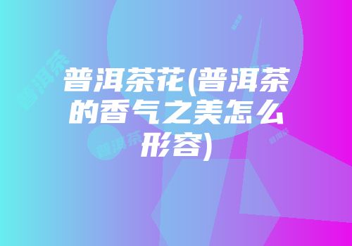 普洱茶花(普洱茶的香气之美怎么形容)