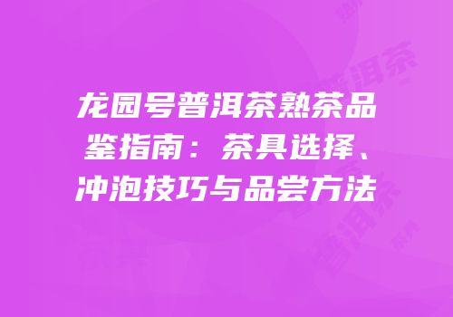 龙园号普洱茶熟茶品鉴指南：茶具选择、冲泡技巧与品尝方法