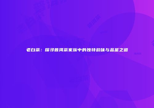 老白茶：探寻普洱茶家族中的独特韵味与品鉴之道
