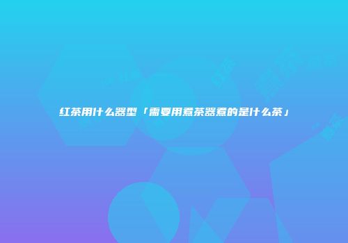 红茶用什么器型「需要用煮茶器煮的是什么茶」