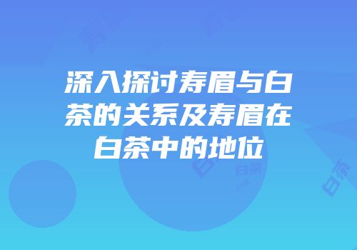 深入探讨寿眉与白茶的关系及寿眉在白茶中的地位
