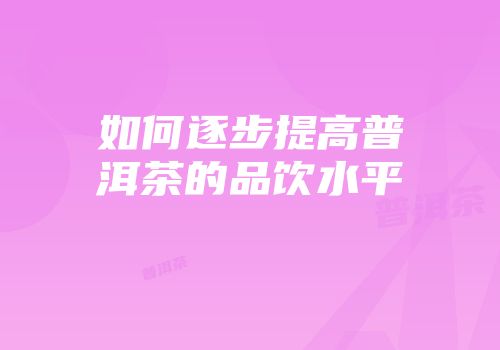 如何逐步提高普洱茶的品饮水平