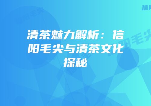 清茶魅力解析：信阳毛尖与清茶文化探秘