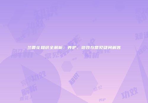 兰香花知识全解析：养护、功效与常见疑问解答